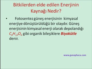 TEMİZ ENERJİ KAYNAKLARI ETANOL