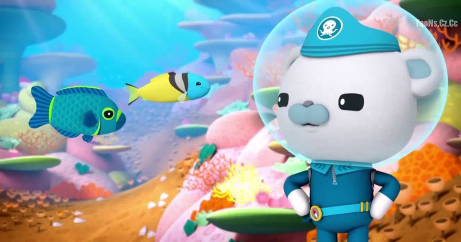 octonauts s