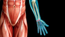 Nerve touch hand paralysis surgery recovery kinesiotherapy los angeles las vegas