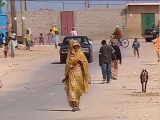 Titouan Lamazou. Portrait de Blessing. Femmes du Monde. Mauritanie, 2007.