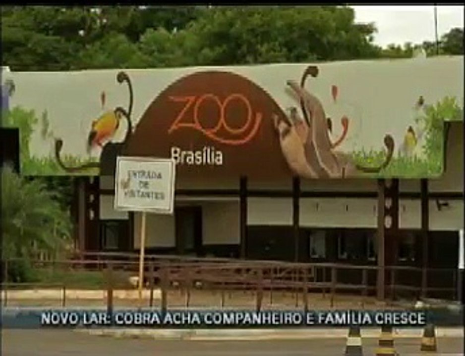 Novos moradores do Zoo