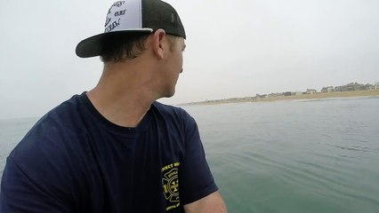surfer au milieu de requins