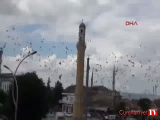 Çorum katliamında hayatını kaybedenler anıldı