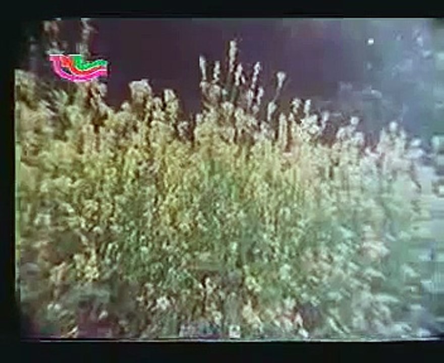 kahe ke ta sab koi apan