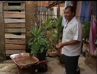Dengue em Águas Lindas
