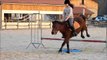 Samedi 08 Mars 2014 - Cours compétition (saut + jeux à poneys!)