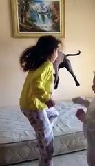 Un chien imite des filles qui sautent sur un lit