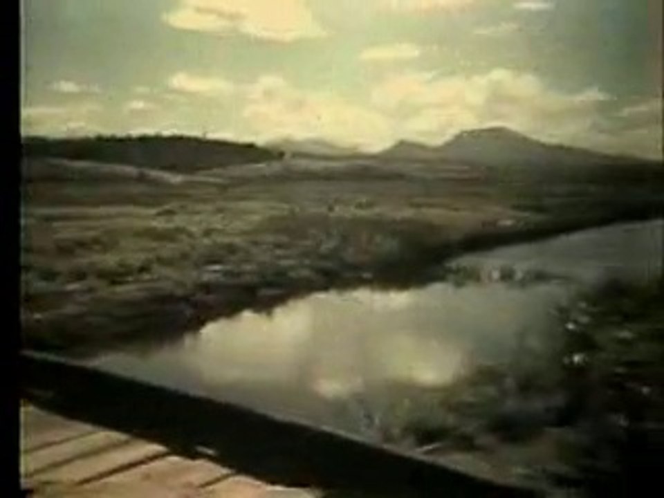 O GRITO DO RIO