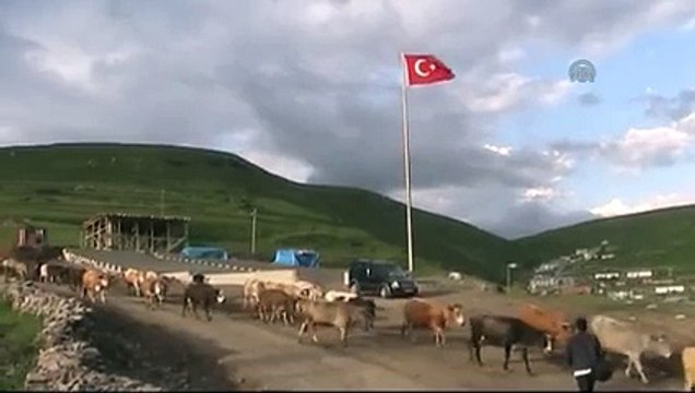 Atatürk silueti - Ardahan Damal