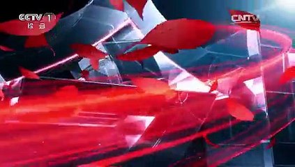 《今日说法》 20150703 一张假借条