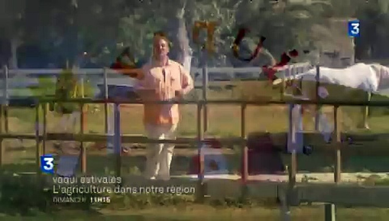 VAQUI Estivales : l'agriculture de notre région (bande annonce)