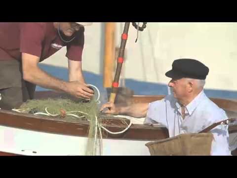 TV3 - 33 recomana - Festival Arts d'estiu.Pineda de Mar.