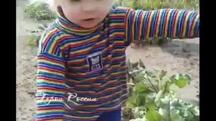 Kid Saves Cat from Dog. Hero Cuteness