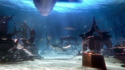 Aquaventure & Cartoon Network at Atlantis