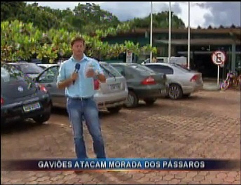 Fim de farra