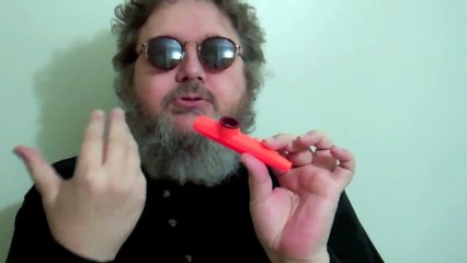 How to Play the Kazoo and the Wazoo National Kazoo Day
