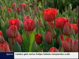 Latvijas tulpes gatavas iekarot veikalus