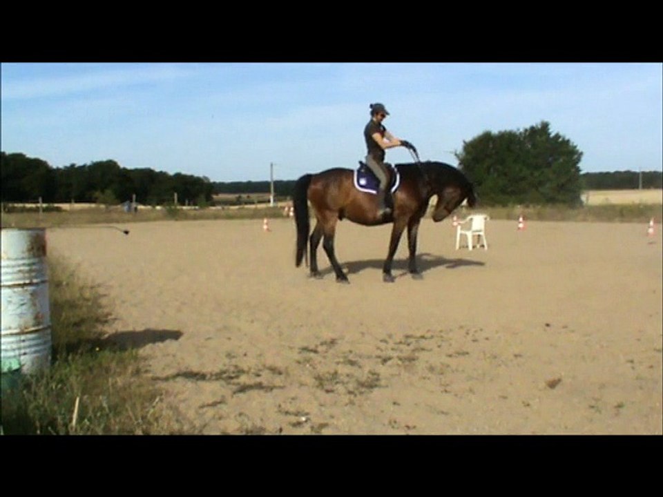 Volt 26.06.15 plat, pli, reculer, transition