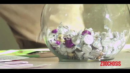 Zoochosis Presents: Escalator