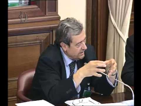 Roma - Audizione rappresentanti OIC e ASSIREVI (02.07.15)