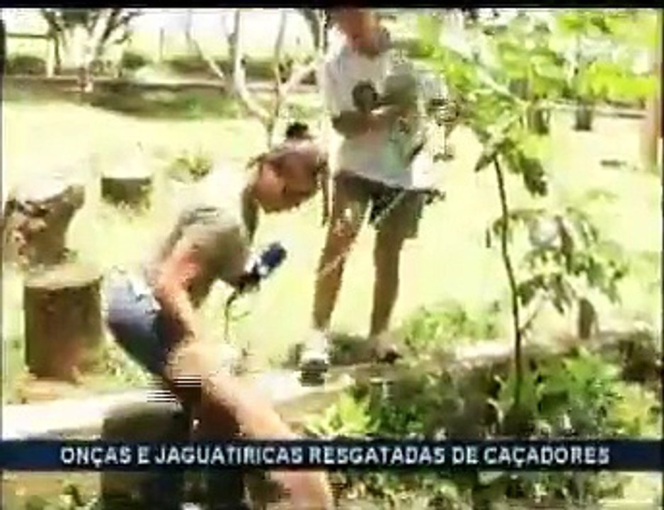 Meio Ambiente