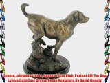 Bronze Labrador Statue Approx 24cm High Perfect Gift For Dog LoversCold Cast Bronze Resin Sculpture