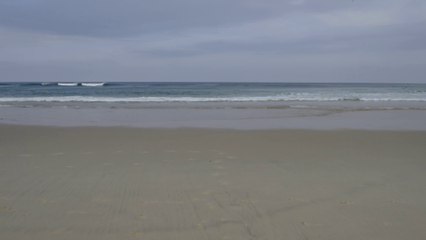 La gestion du trait de côte : vivre avec la mer plutôt que contre elle