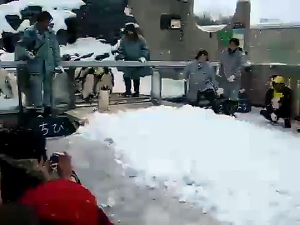 Asahikawa Zoo Penguin Walk Dec-2007