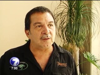 Pesca de palangre habría causado muerte de 20 mil tortugas