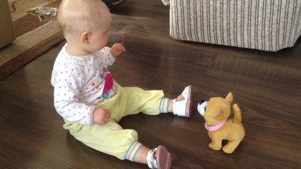 Baby tries feeding snacks to mechanical dog