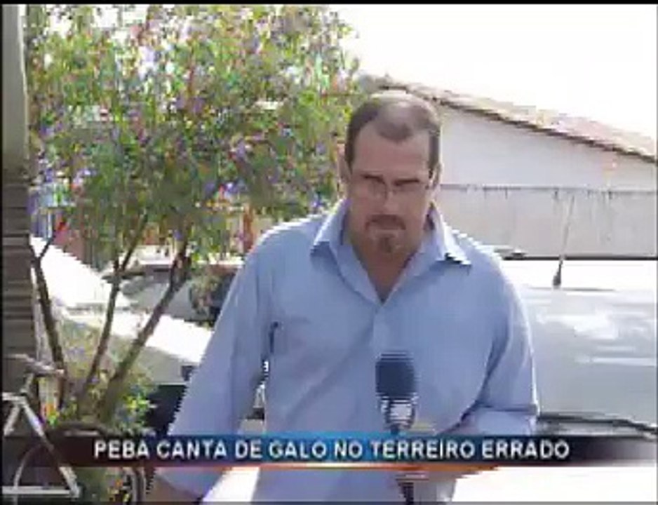 Cantando de galo