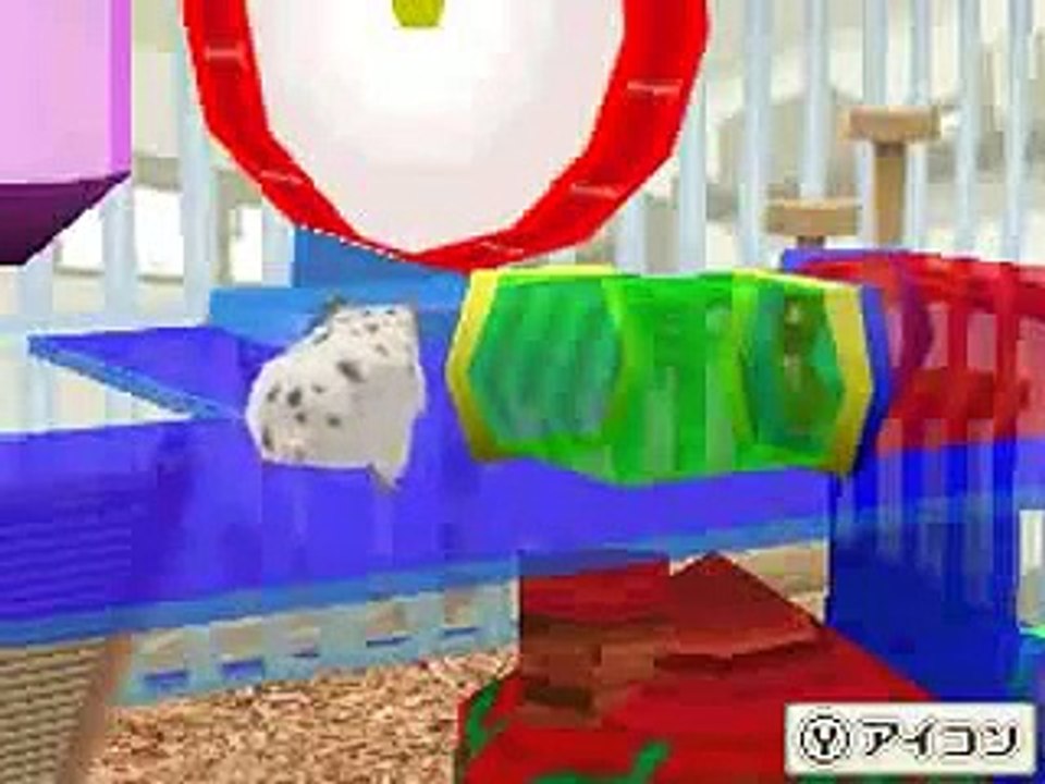 ハムスターと暮らそう