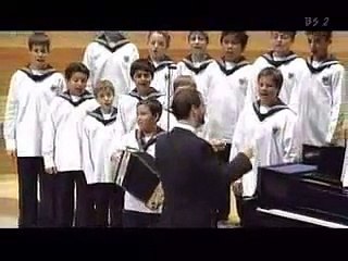 Wiener Sängerknaben - Und wanns amal schen Aper wird