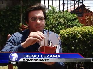 Crean lápices que se siembran y se convierten en plantas