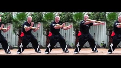 Winds with spirit - Burning Palm Tibetan Internal Kung Fu