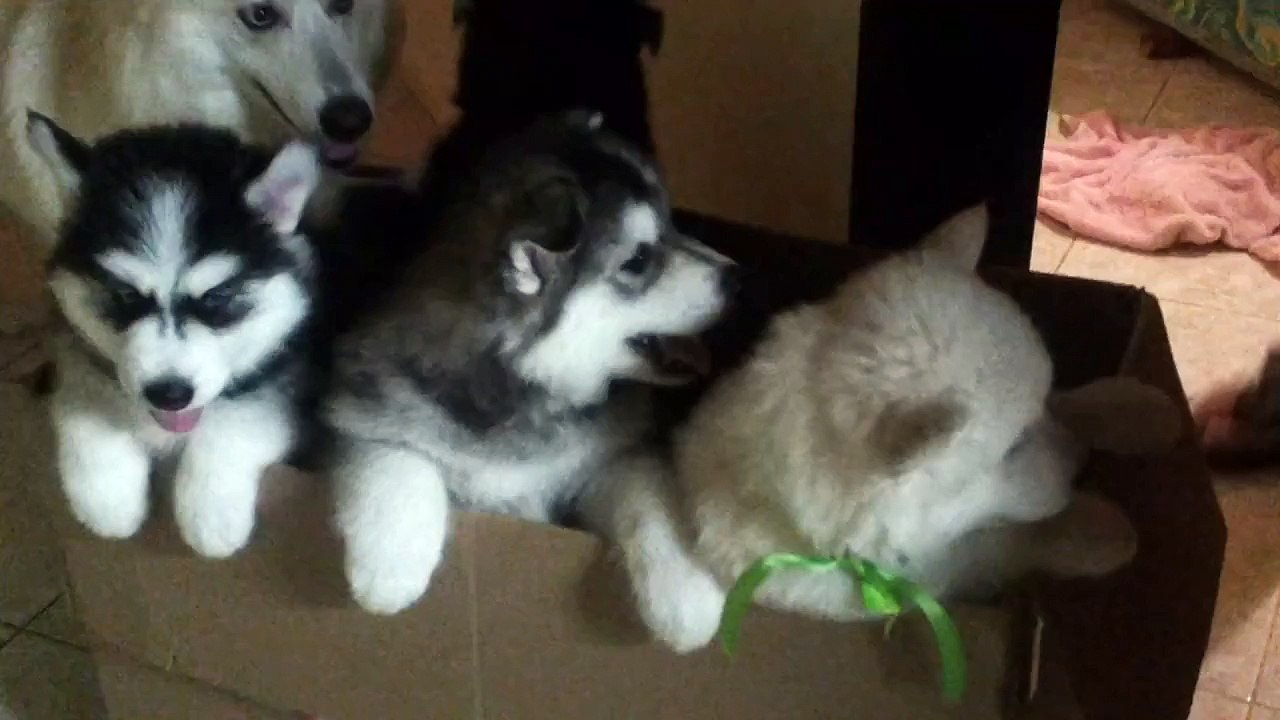 20121206 1739171