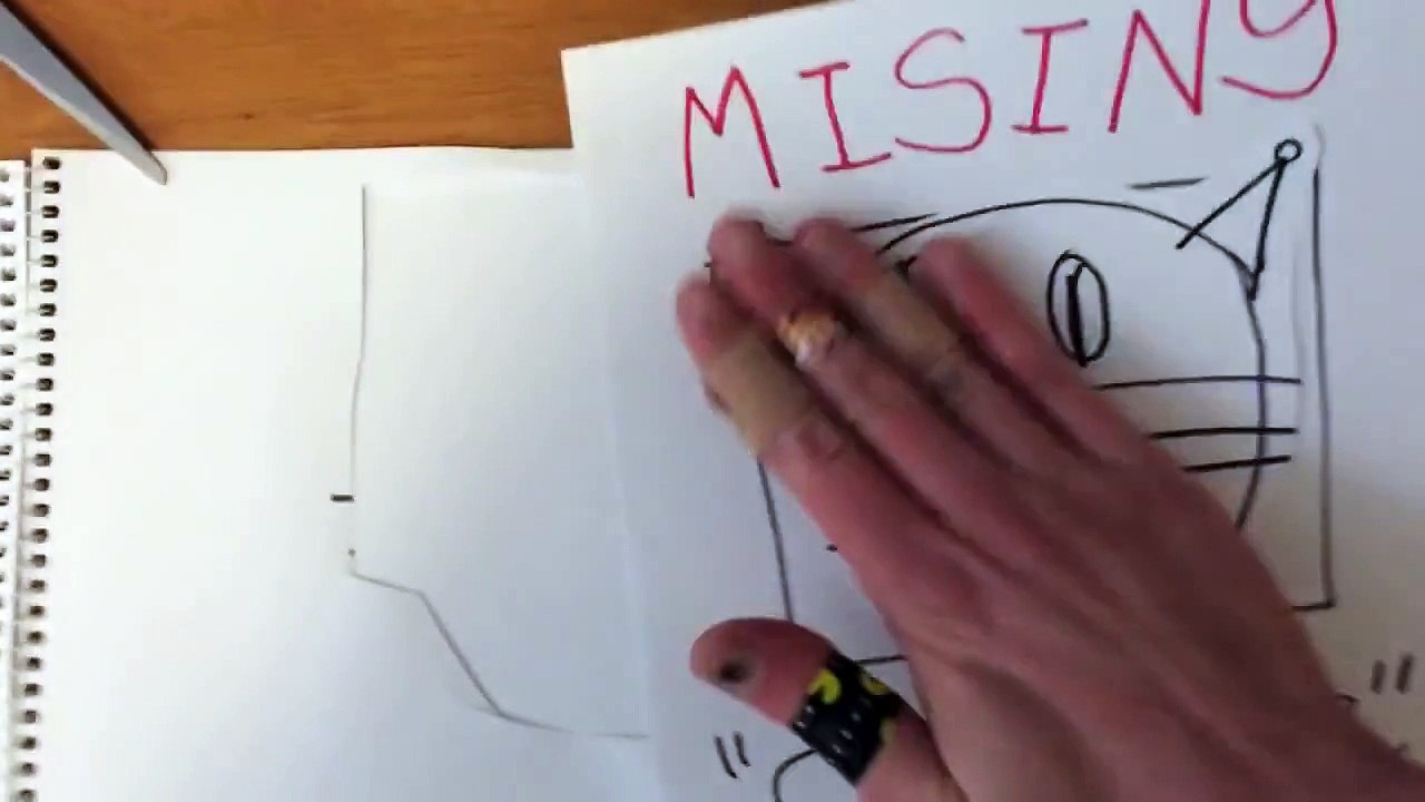 Tutorial: How to Draw a Cat