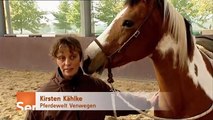 Pferdekommunikation im Round Pen mit Markus Eschbach und gebisslos Reiten bei Kirsten Kählke