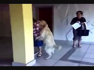 трах какой то...