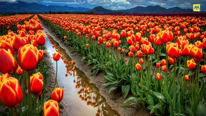 Paisajes Hermosos - [1080p HD]
