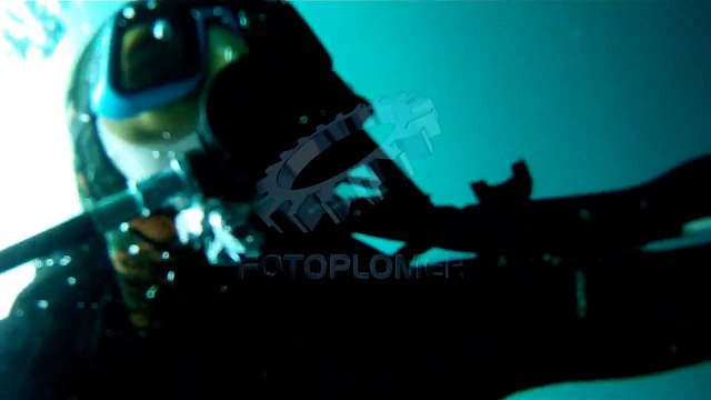 BUCEANDO CON BALLENAS FRANCAS