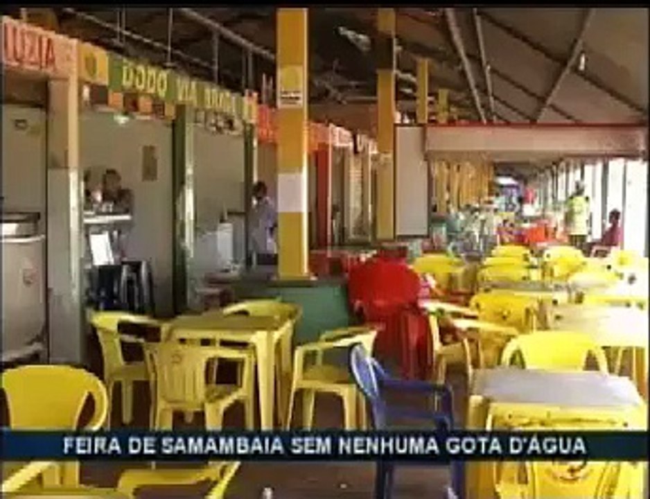 Samambaia