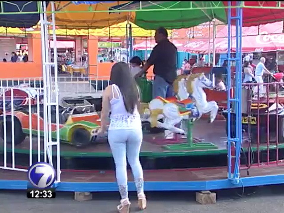 Cámaras de Seguridad han mantenido el control en las festividades navideñas