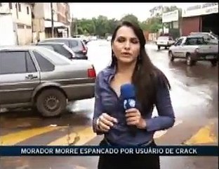 Guará