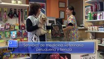 Clínica Veterinaria Mascotas: Mira como trabajamos...