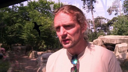 Chicken ice cream keeps Paris zoo wolves cool