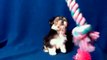 Purebred Breeders - Morkie Puppy Plays With Toys