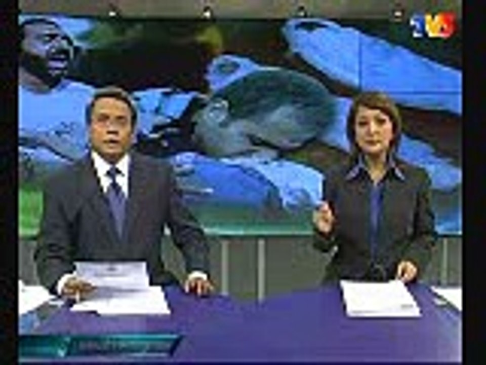 buletin utama palestin 6 jan 09
