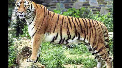 Un Moment avec Allah _ Magnifique rappel من فاته هذا الفيديو فاته نصف عمره