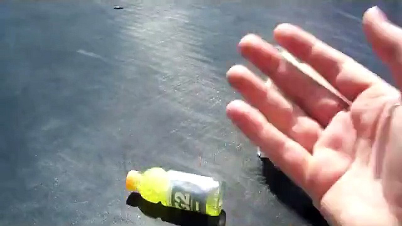 Puppy Fails - Trampoline Fail